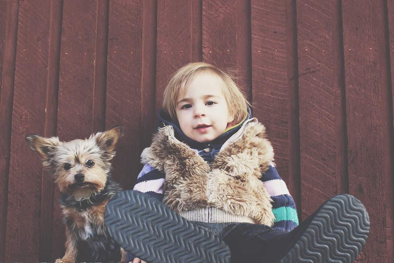 Newborn Baby And Dog: How To Introduce And Prepare