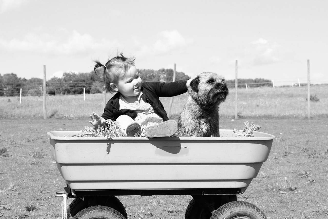 Newborn Baby And Dog: How To Introduce And Prepare