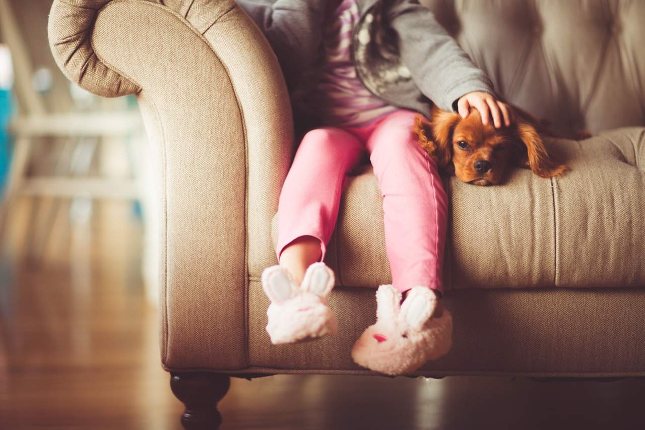 Newborn Baby And Dog: How To Introduce And Prepare